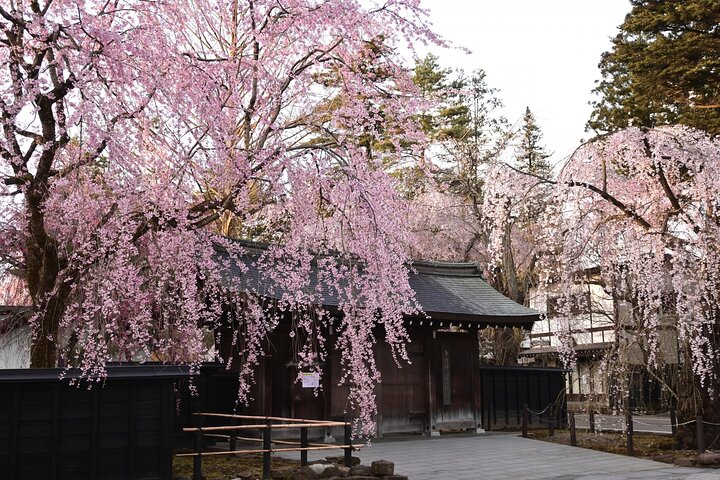 Akita: Kakunodate Samurai District & Residence Tour