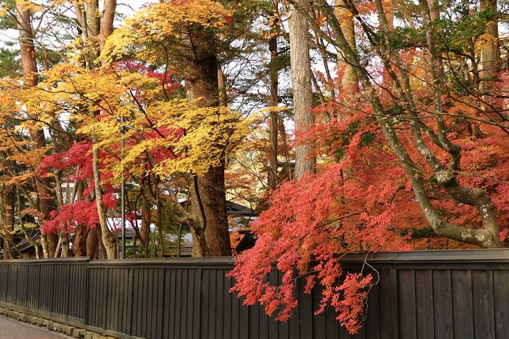 Akita: Kakunodate Samurai District & Residence Tour
