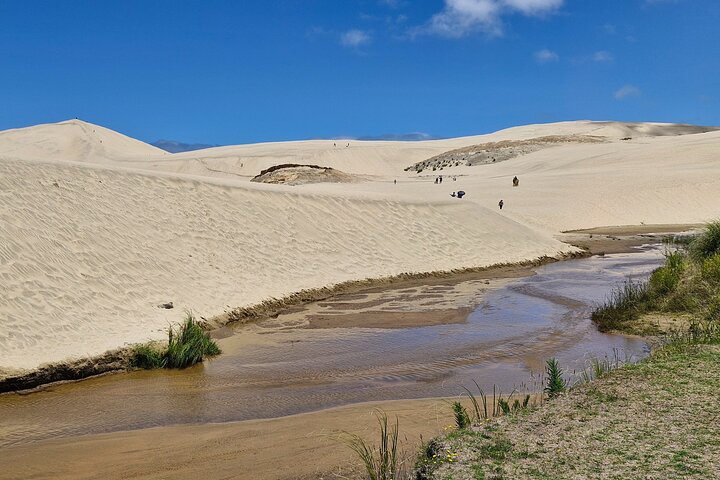 Cape Reinga - 90 Mile Beach Tour - With Lunch