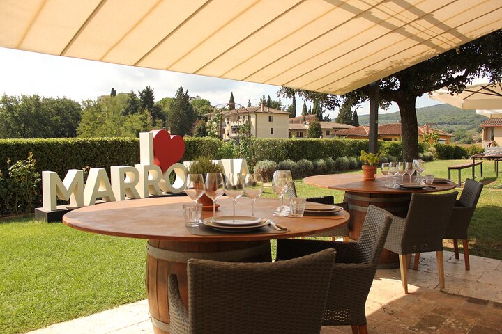 Truffle Lunch & Hunting Experience in San Gimignano