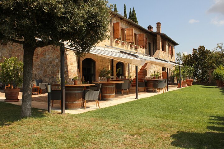 Truffle Lunch & Hunting Experience in San Gimignano