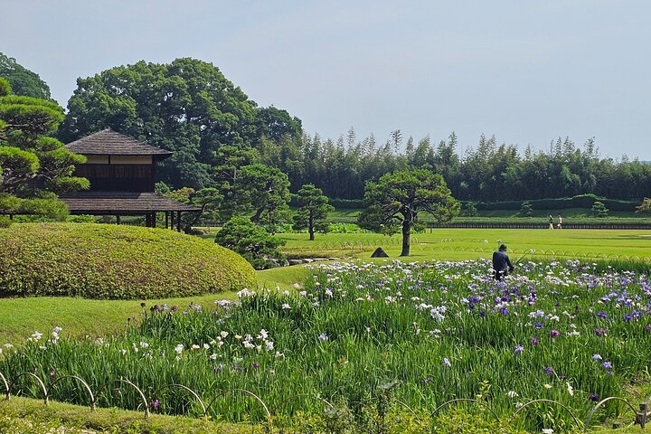 Okayama: Castle & Korakuen Garden Heritage Walk