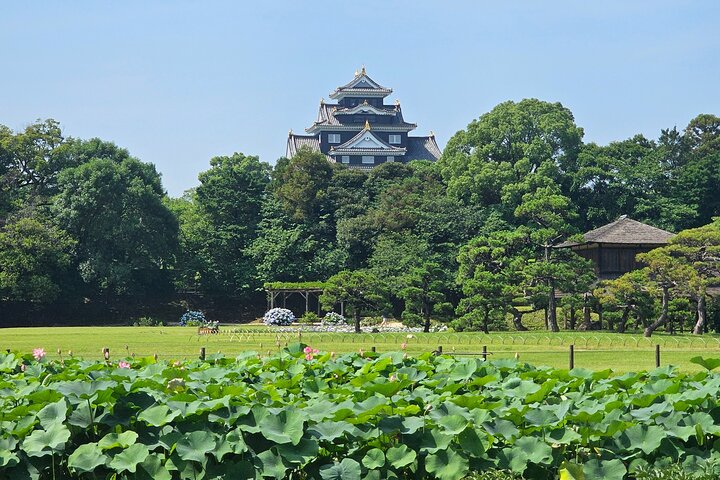 Okayama: Castle & Korakuen Garden Heritage Walk