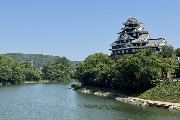Okayama: Castle & Korakuen Garden Heritage Walk