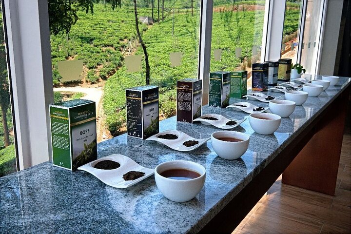Labookellie Tea Factory Tour from Nuwara Eliya