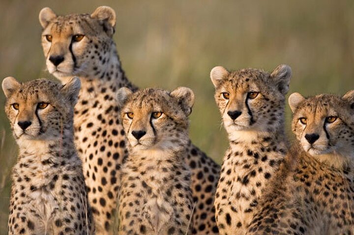 Overnight Tour Experience to Tsavo East National Park