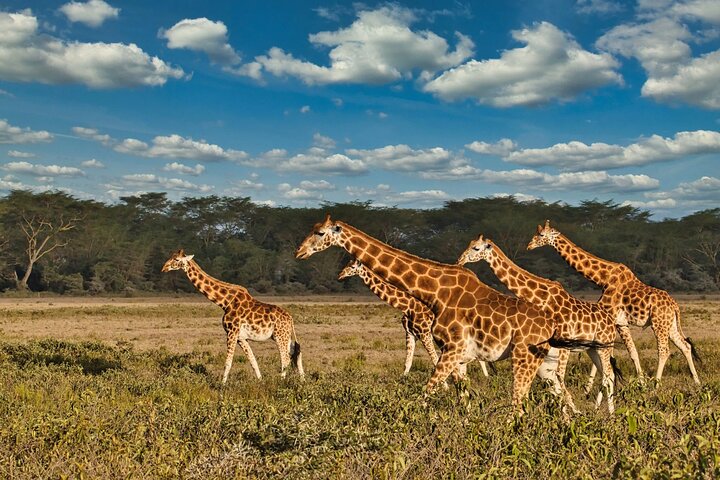 Overnight Tour Experience to Tsavo East National Park