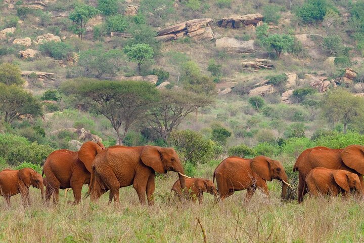 Overnight Tour Experience to Tsavo East National Park