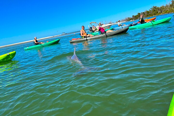 Bonita Springs Eco Kayak Tour – Best Gear, Premium&Clear Kayaks