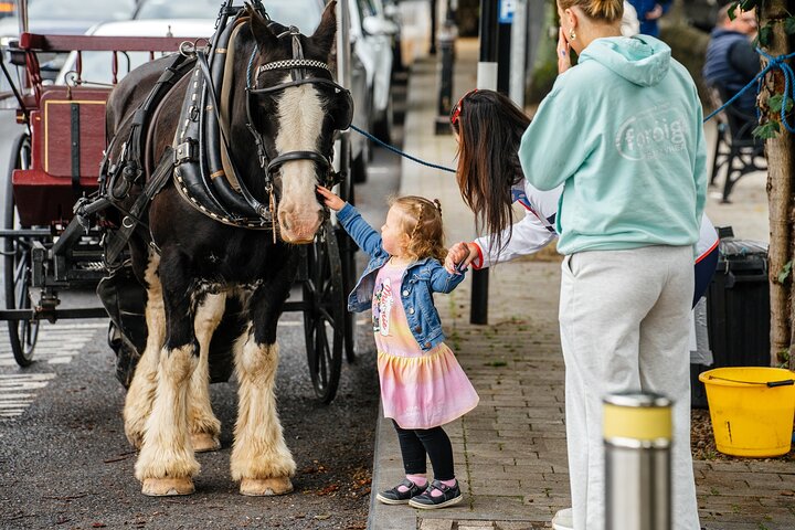 Westport's Wonders: A Fun and Adventurous Walking Tour