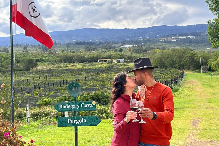 Villa de Leyva: Private Vineyard Tour with Wine & Food Pairing