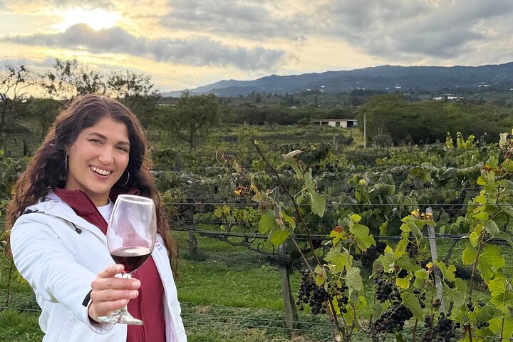 Villa de Leyva: Private Vineyard Tour with Wine & Food Pairing