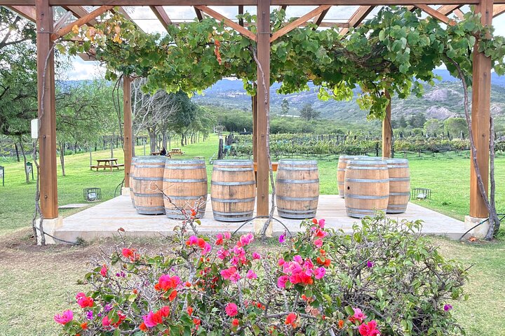 Villa de Leyva: Private Vineyard Tour with Wine & Food Pairing