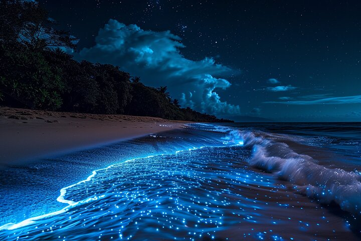 Sunset Boat Tour & Bioluminescence Adventure at Los Arcos Islands