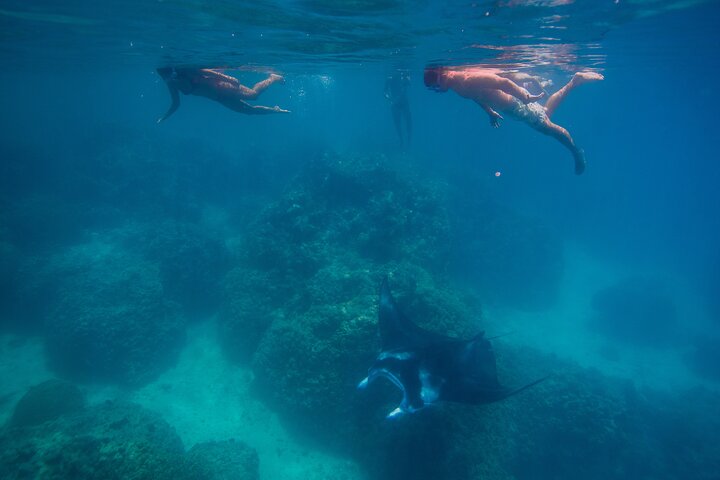 Bora Bora Full Day Snorkeling with Lunch