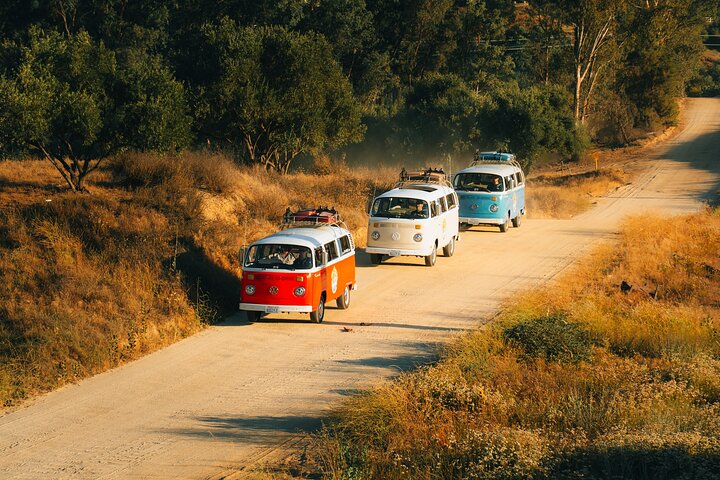 VW Bus 2-Stop Wine Tour Temecula - Retro Cali Vibes