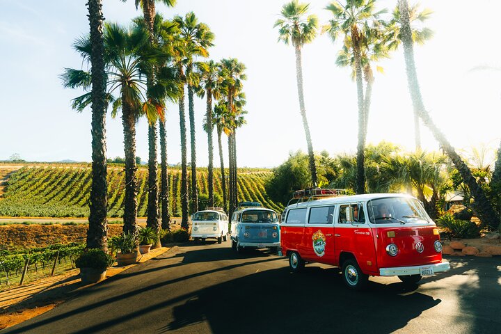 VW Bus 2-Stop Wine Tour Temecula - Retro Cali Vibes
