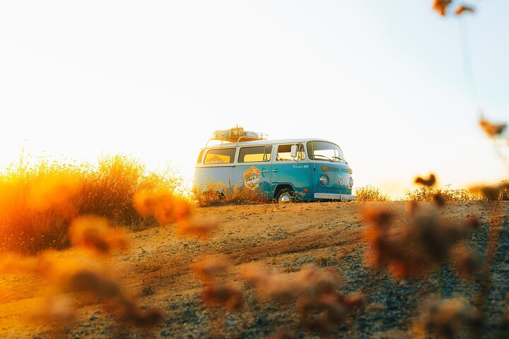 VW Bus 2-Stop Wine Tour Temecula - Retro Cali Vibes