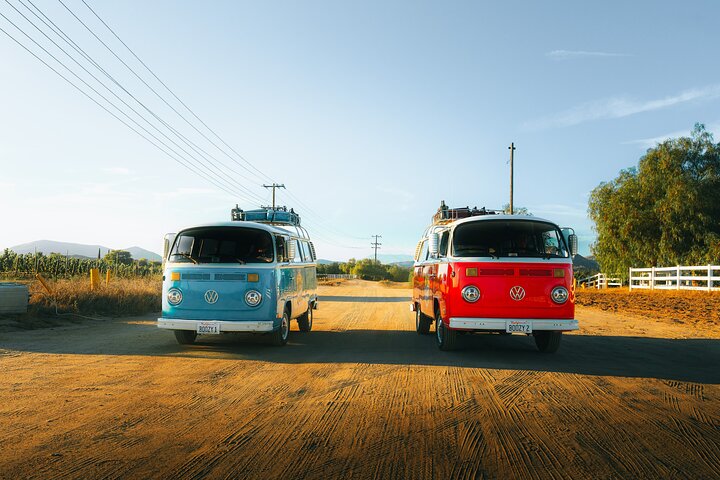 VW Bus 2-Stop Wine Tour Temecula - Retro Cali Vibes