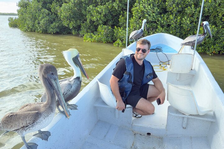 River Lizards and Las Coloradas - Flamencos and Crocodiles Safari plus