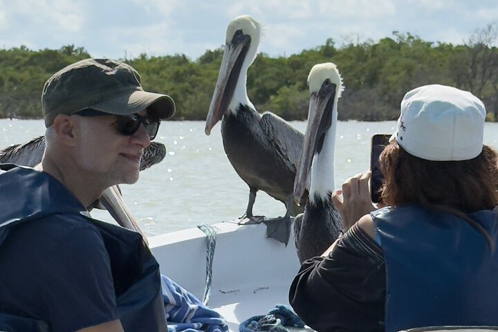 River Lizards and Las Coloradas - Flamencos and Crocodiles Safari plus