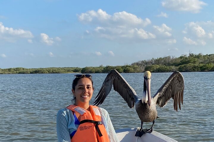 River Lizards and Las Coloradas - Flamencos and Crocodiles Safari plus