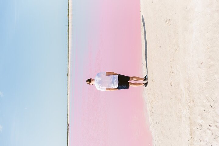 River Lizards and Las Coloradas - Flamencos and Crocodiles Safari plus