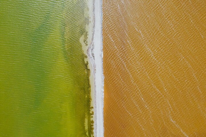 River Lizards and Las Coloradas - Flamencos and Crocodiles Safari plus