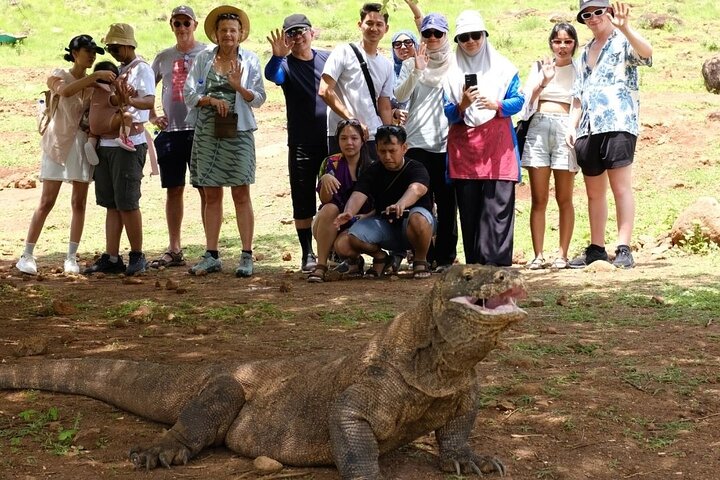 Daily Open Trip Komodo Including Sunset