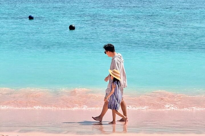 Daily Open Trip Komodo Including Sunset
