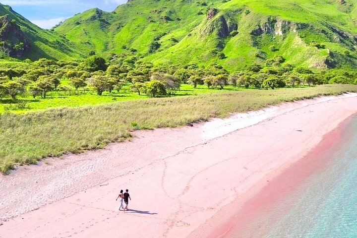 Daily Open Trip Komodo Including Sunset
