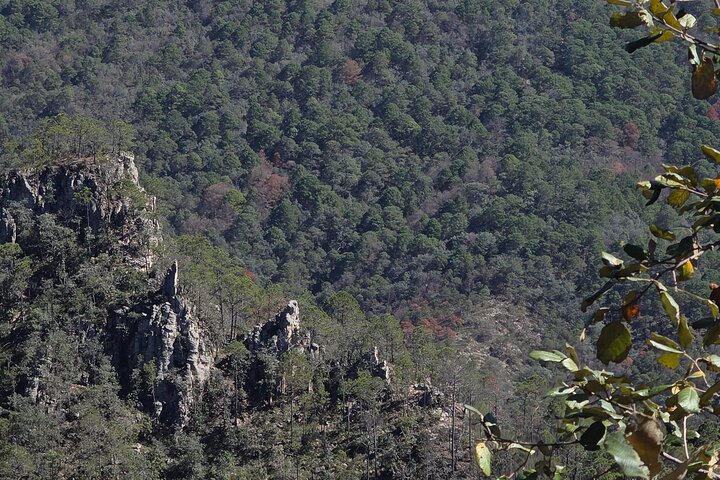 Route to the Peñas Cuatas Science Forest and Adventure