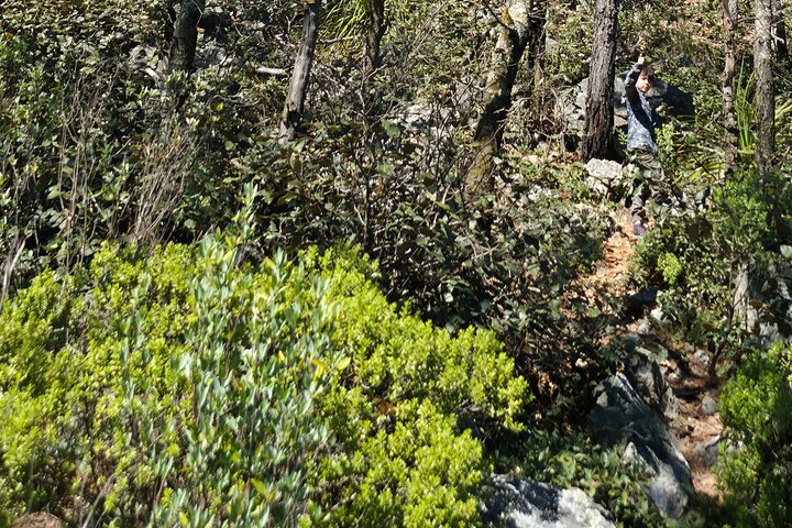 Route to the Peñas Cuatas Science Forest and Adventure