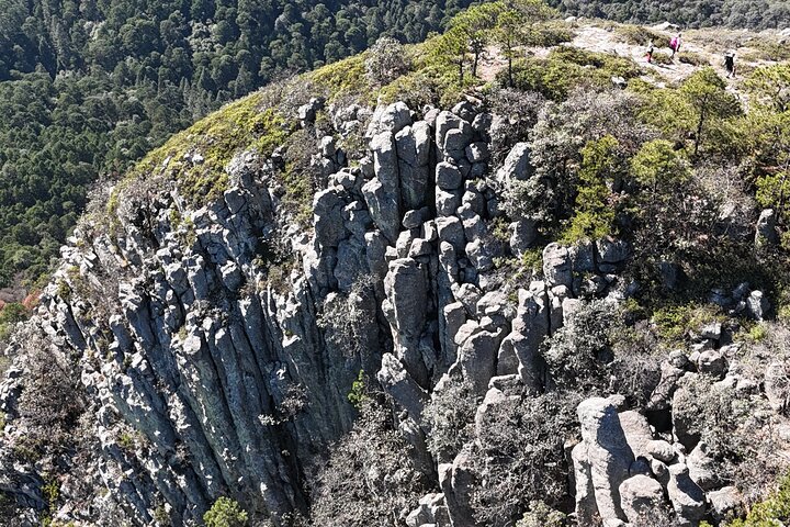 Route to the Peñas Cuatas Science Forest and Adventure