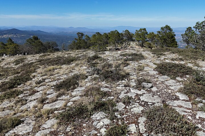 Route to the Peñas Cuatas Science Forest and Adventure
