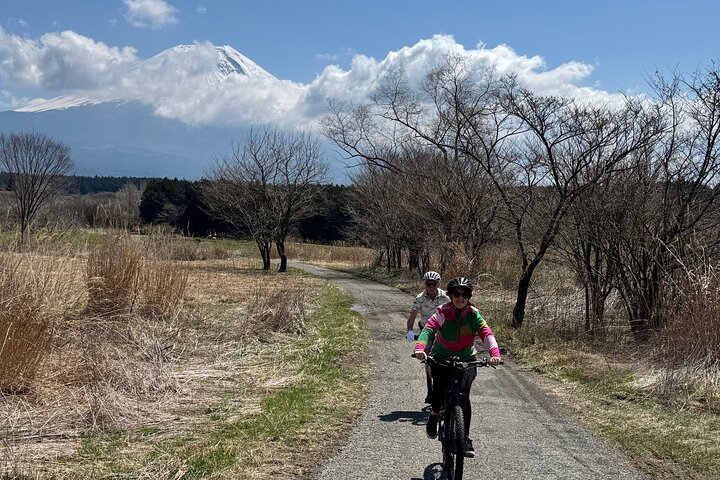 Private Full-Day Mt. Fuji Nature E-Bike Tour with Local Guide