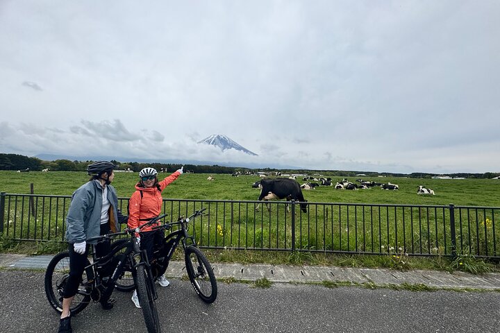 Private Full-Day Mt. Fuji Nature E-Bike Tour with Local Guide