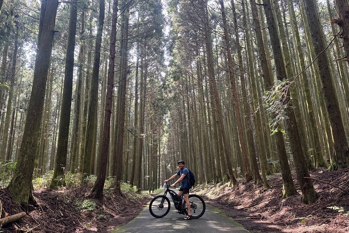 Private Full-Day Mt. Fuji Nature E-Bike Tour with Local Guide