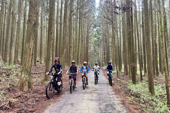 Private Full-Day Mt. Fuji Nature E-Bike Tour with Local Guide