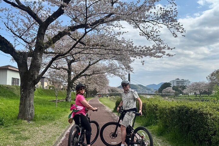 Private Full-Day Mt. Fuji Nature E-Bike Tour with Local Guide