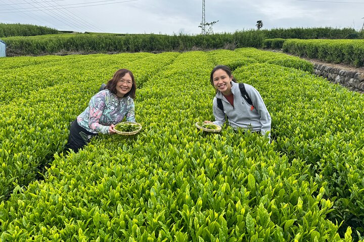 Private Full-Day Mt. Fuji Nature E-Bike Tour with Local Guide