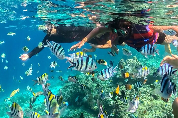Gili Trawangan Snorkeling with Turtle, BBQ, and Beach Massage