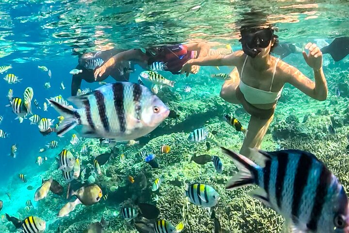 Gili Trawangan Snorkeling with Turtle, BBQ, and Beach Massage