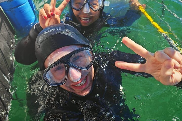 Shark Cage Diving with complimentary air in cage from Gansbaai