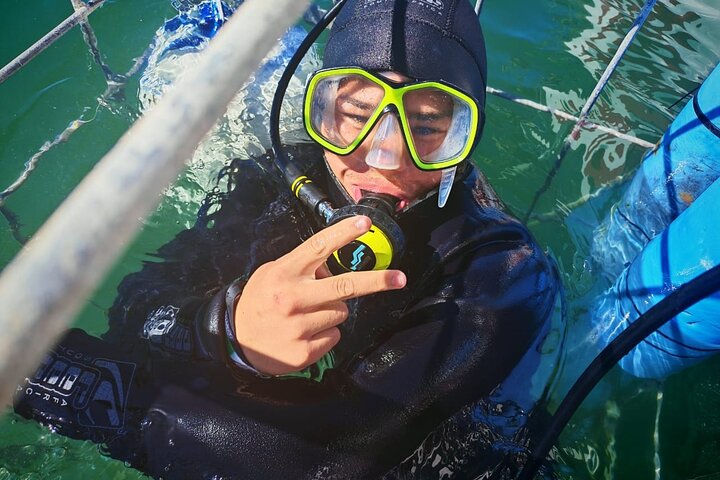 Shark Cage Diving with complimentary air in cage from Gansbaai