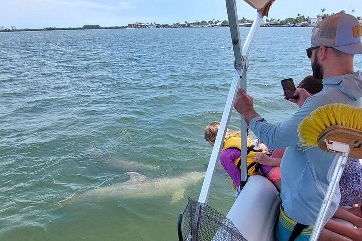 Dolphin and Manatee Boat Tour from Cocoa Beach and Port Canaveral