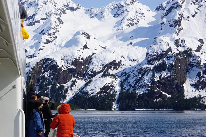 Kenai Fjords and Resurrection Bay Half-Day Wildlife Cruise