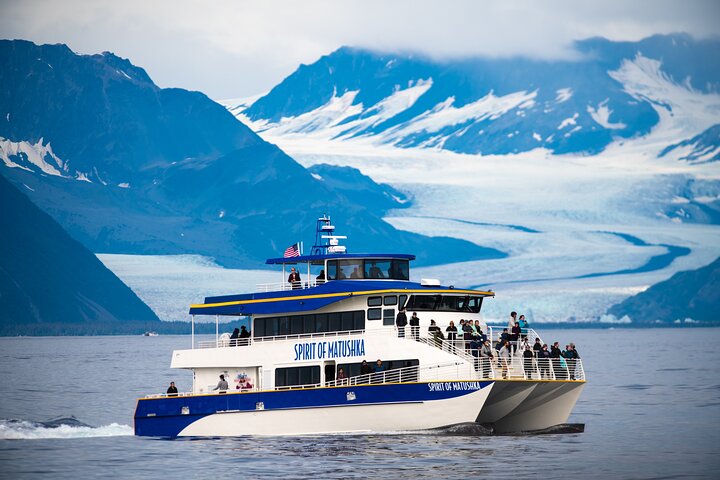 Kenai Fjords and Resurrection Bay Half-Day Wildlife Cruise
