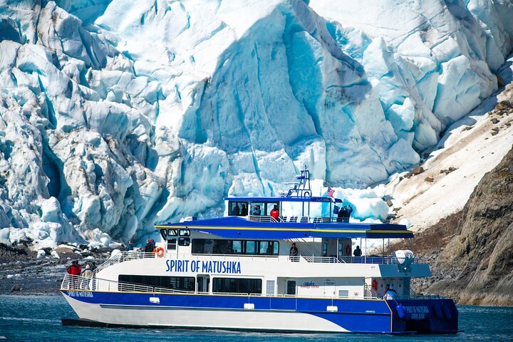 Kenai Fjords National Park Glacier & Wildlife Cruise
