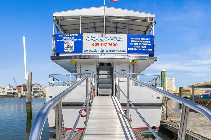 Dolphin Watching Adventure Cruise in Atlantic City